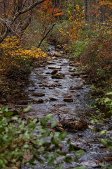 A Virginia stream in autumn 