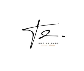 T D TD Beauty vector initial logo, handwriting logo of initial signature, wedding, fashion, jewerly, boutique, floral and botanical with creative template for any company or business.