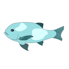 Vector artwork of a fish
