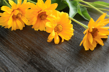 Yellow flowers composition on wooden background. Spring, easter, bithday.