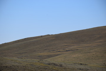 Near the Uybat river.Khakassia.