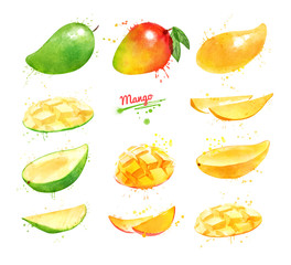Watercolor set of illustrations of Mango fruit