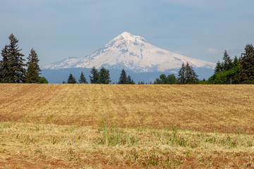 view of mountain across a plain of grass