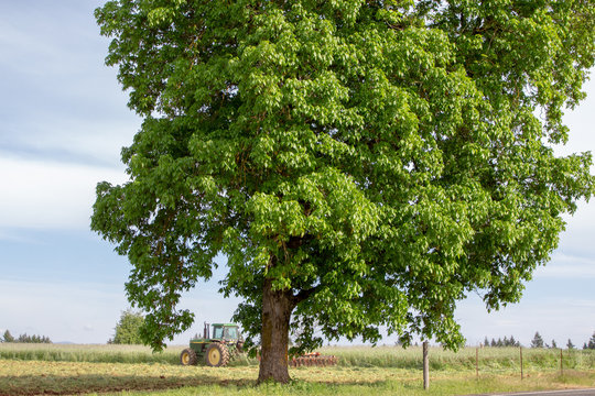 Farmer working on his tractor on a sunny day