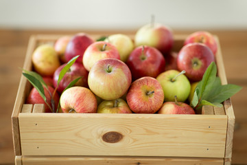 fruits, food and harvest concept - ripe apples in wooden box on table