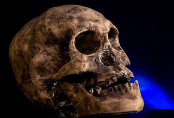 Human skull  isolated on black background