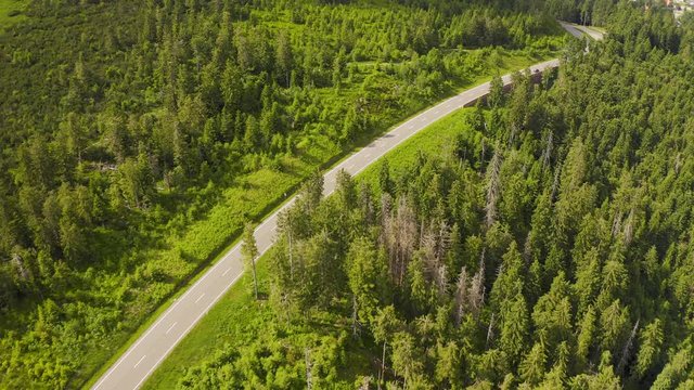 Aerial view flying over two lane forest road with car moving green trees of woods growing both sides. Car driving along forest road. aerial:car driving through pine forest.Germany black forest aerial