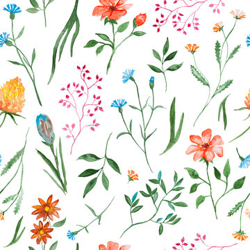 Different flowers , watercolor painting - hand drawn seamless pattern with blossom on white background