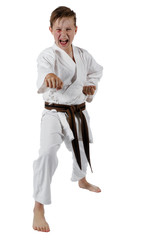 Teenage boy doing martial arts