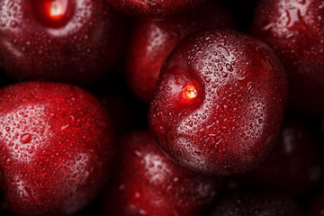 Ripe and fresh berries of a sweet cherry with water drops closeup.