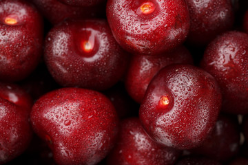 Ripe and fresh berries of a sweet cherry with water drops closeup.