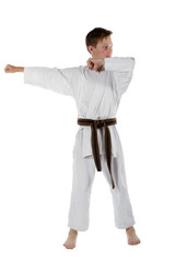 Teenage boy doing martial arts