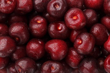 Ripe and fresh berries of a sweet cherry with water drops closeup.