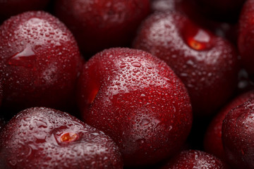 Ripe and fresh berries of a sweet cherry with water drops closeup.
