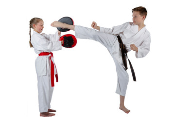 Fototapeta premium Martial Arts