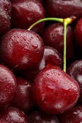 Ripe and fresh berries of a sweet cherry with water drops closeup.