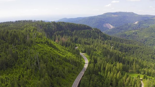 Aerial view flying over two lane forest road with car moving green trees of woods growing both sides. Car driving along forest road. aerial:car driving through pine forest.Germany black forest aerial