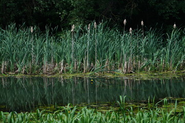 Украина Чернигов