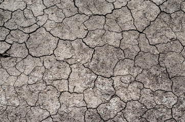 Cracks of the dried soil texture in arid season.