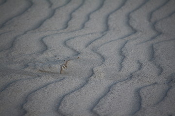 Sandwellen