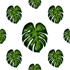 Fotobehang Tropische bladeren Naadloze patroon van bladeren monstera. Tropische bladeren van palmboom. Vectorachtergrond.