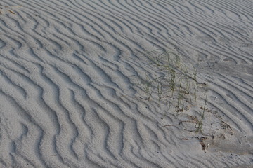 Sandwellen