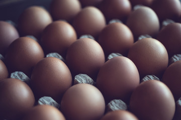 Primer plano de huevos - Cartón de huevos