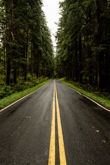 Wet Country Road in Washington