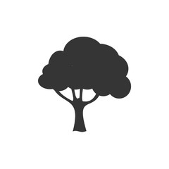 Tree icon template black color editable. Branch forest symbol vector sign isolated on white background. Simple logo vector illustration for graphic and web design.