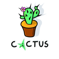 Plant cactus isolated. Cactus isolated
