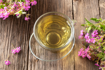 Obraz na płótnie Canvas A cup of herb-Robert tea with Geranium robertianum flowers
