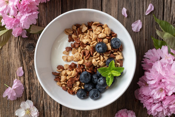 Breakfast cereals with yogurt and blueberries