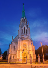 Fototapeta na wymiar Old gothic cathedral in the night, Chernivtsi, Ukraine