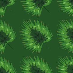 Tropical palm leaves, monstera, jungle leaf seamless floral summer pattern background