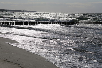 beach in winter