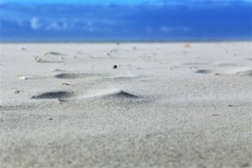 footprints in the sand