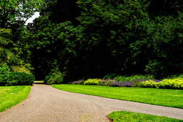 hiking path, flowers and grass in public park of Kampen, The Netherlands