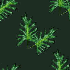 Tropical palm leaves, monstera, jungle leaf seamless floral summer pattern background