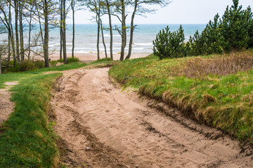 Fototapeta na wymiar cloudy day at the Baltic Sea, sandy road to the sea in the dunes, separate trees on the sea background