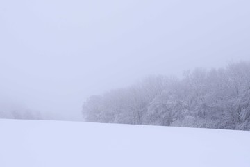 Fototapeta premium Winter Wilderness 