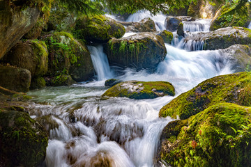 A stormy mountain river flows among huge stones in the forest slopes of the Caucasus Mountains.