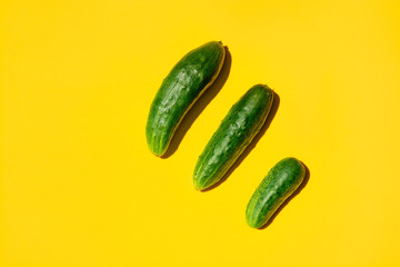 Concept Cucumbers Family on a yellow background. Dad mom baby. Cucumbers for designers. Top view. Cucumber harvest. Cucumber background. Farming, gardening, agriculture, harvesting and people concept.