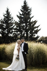 The newlyweds are standing near the big wheat field.