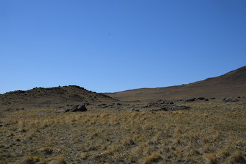 Near the Uybat river.Khakassia.