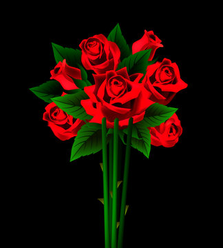 Deep red, ruby rose flower with green leaves, sketch style vector illustration isolated on white background. Realistic hand drawing of open red rose, symbol of love, decoration element