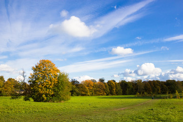Fototapeta na wymiar sunny autumn days in park of Copenhagen Area