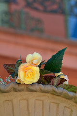 blumendekoration am schloss worms-herrnsheim