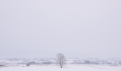 北海道由仁町の冬の風景（Winter scenery in Yuni Town, Hokkaido）