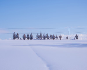 北海道美瑛町の冬の風景（Winter scenery in Biei, Hokkaido）