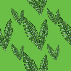 Tropical leaves realistic seamless pattern. Banana leaf and palm tree.